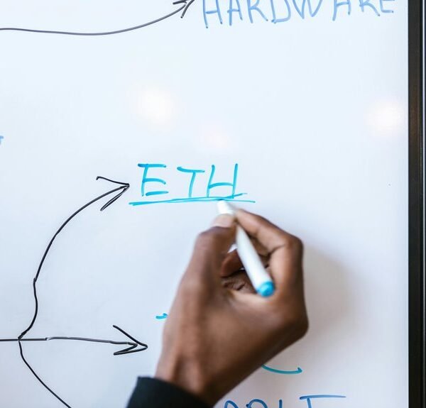 innovative digital network growth