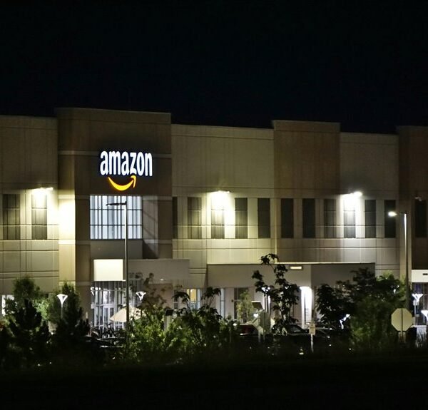 next level analytics services